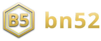 bn52 logo